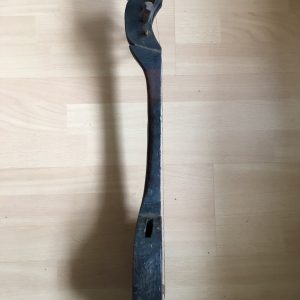 east asian oriental plucked instrument ruan seung