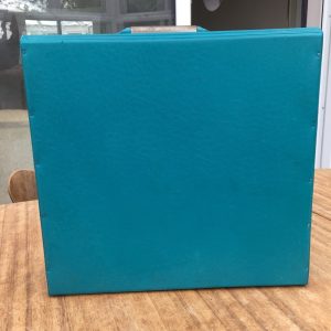Vinyl 12 inch LP Record Storage Case in Teal