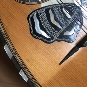 Neapolitan Mandolin with Butterfly inlay and case