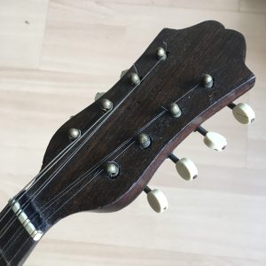 Neapolitan Mandolin with Butterfly inlay and case
