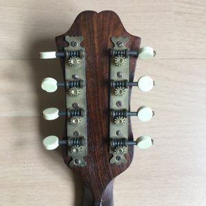 Neapolitan Mandolin with Butterfly inlay and case