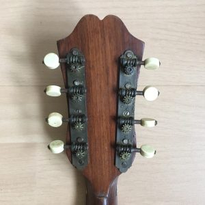 Neapolitan Mandolin light bowl player late 1800s