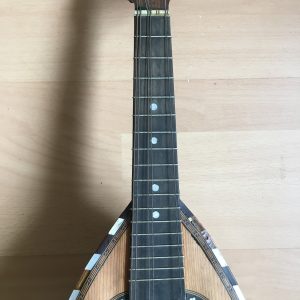 Stridente Neapolitan Mandolin with Butterfly motif late 1800s project