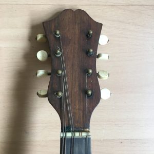 Stridente Neapolitan Mandolin with Butterfly motif late 1800s project