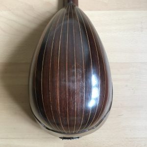 Stridente Neapolitan Mandolin with Butterfly motif late 1800s project