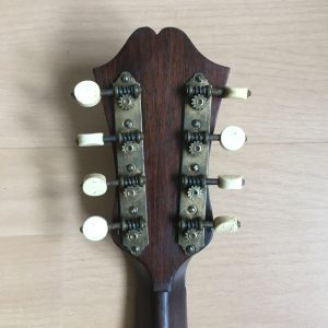 Stridente Neapolitan Mandolin with Butterfly motif late 1800s project