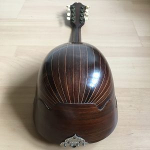 Stridente Neapolitan Mandolin with Butterfly motif late 1800s project