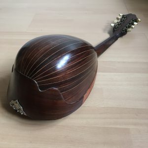 Stridente Neapolitan Mandolin with Butterfly motif late 1800s project
