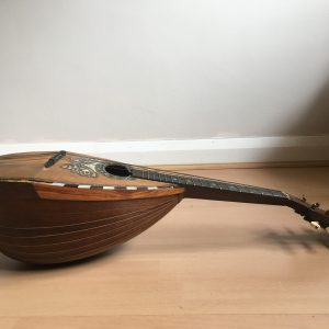 Stridente Neapolitan Mandolin with Butterfly motif late 1800s project