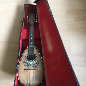 Stridente Neapolitan Mandolin with Butterfly motif late 1800s project