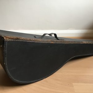 Stridente Neapolitan Mandolin with Butterfly motif late 1800s project