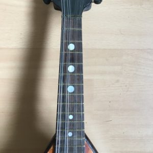 Giovanni de Meglio Neapolitan Mandolin floral decoration 1920s