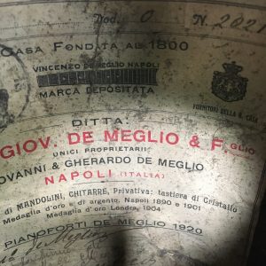 Giovanni de Meglio Neapolitan Mandolin floral decoration 1920s