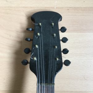 Giovanni de Meglio Neapolitan Mandolin floral decoration 1920s