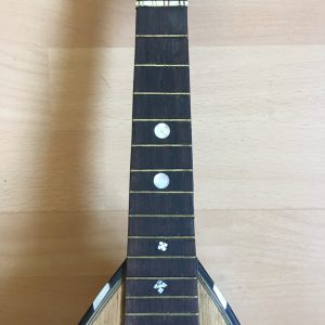 Michele Maratea Neapolitan Mandolin Tortoiseshell inlay 1890s + case project