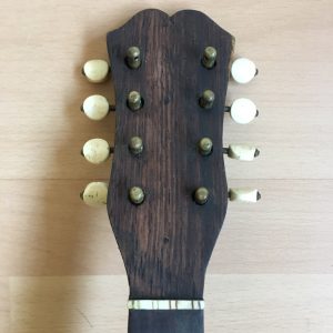 Michele Maratea Neapolitan Mandolin Tortoiseshell inlay 1890s + case project