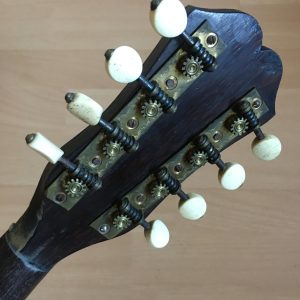 Michele Maratea Neapolitan Mandolin Tortoiseshell inlay 1890s + case project
