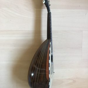 Michele Maratea Neapolitan Mandolin Tortoiseshell inlay 1890s + case project