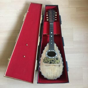 Michele Maratea Neapolitan Mandolin Tortoiseshell inlay 1890s + case project