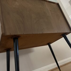 Mid-Century Modern Vinyl Record Storage Cabinet Glass Doors