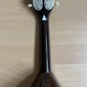 1887 Fratelli Nicola e Raffaele Calace Neapolitan Mandolin