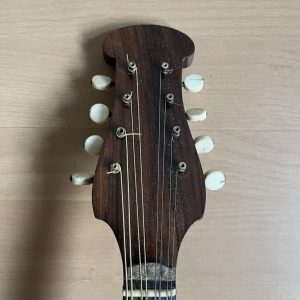 1916 Raffaele Colace & Son Neapolitan Mandolin