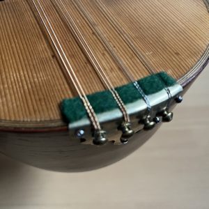 1887 Fratelli Nicola e Raffaele Calace Neapolitan Mandolin