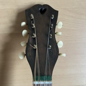 1887 Fratelli Nicola e Raffaele Calace Neapolitan Mandolin