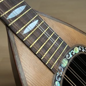 1887 Fratelli Nicola e Raffaele Calace Neapolitan Mandolin