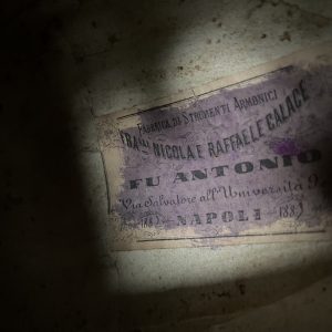 1887 Fratelli Nicola e Raffaele Calace Neapolitan Mandolin