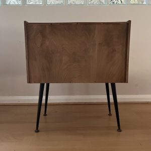 Mid-Century Modern Vinyl Record Storage Cabinet Glass Doors
