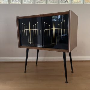 Mid-Century Modern Vinyl Record Storage Cabinet Glass Doors
