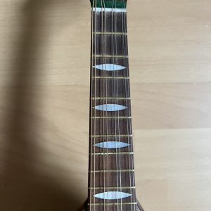1887 Fratelli Nicola e Raffaele Calace Neapolitan Mandolin