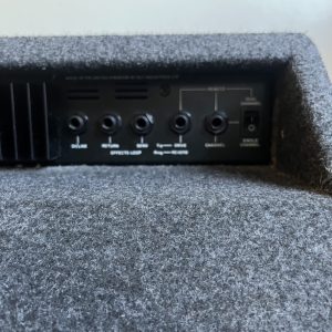 Laney EA-65 Acoustic Guitar / Electric Guitar 2 in 1 Amplifier 12