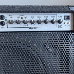 Laney EA-65 Acoustic Guitar / Electric Guitar 2 in 1 Amplifier 12