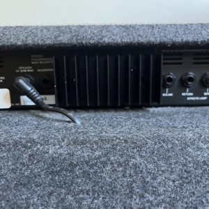 Laney EA-65 Acoustic Guitar / Electric Guitar 2 in 1 Amplifier 12