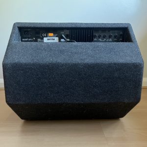 Laney EA-65 Acoustic Guitar / Electric Guitar 2 in 1 Amplifier 12