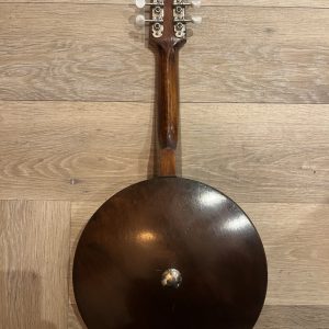 Savana mandolin banjo