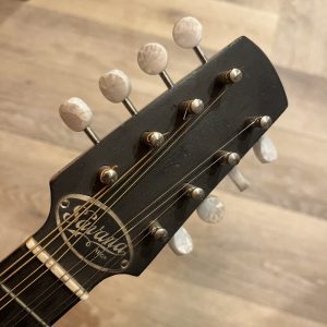 Savana mandolin banjo