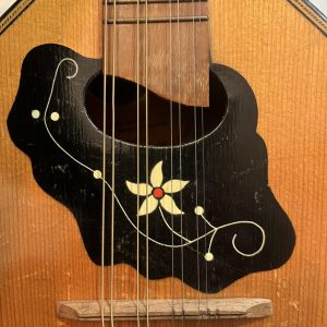 artia mandolin