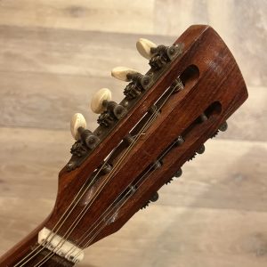 artia mandolin