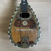 Ornate Neapolitan Mandolin late 1890s with case