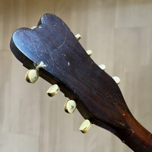 Ornate Neapolitan Mandolin late 1890s with case