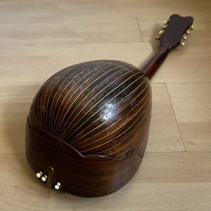Ornate Neapolitan Mandolin late 1890s with case
