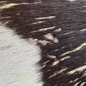 Vintage African Tribal Drum Animal Cow Skin & Wood Handcrafted Hide 11