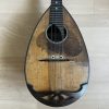 1916 Raffaele Calace Neapolitan Mandolin