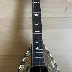 Ornate Neapolitan Mandolin late 1890s with case