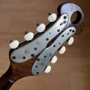 1916 Raffaele Calace Neapolitan Mandolin