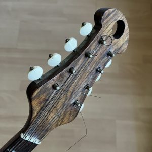 1916 Raffaele Calace Neapolitan Mandolin