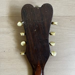 Ornate Neapolitan Mandolin late 1890s with case